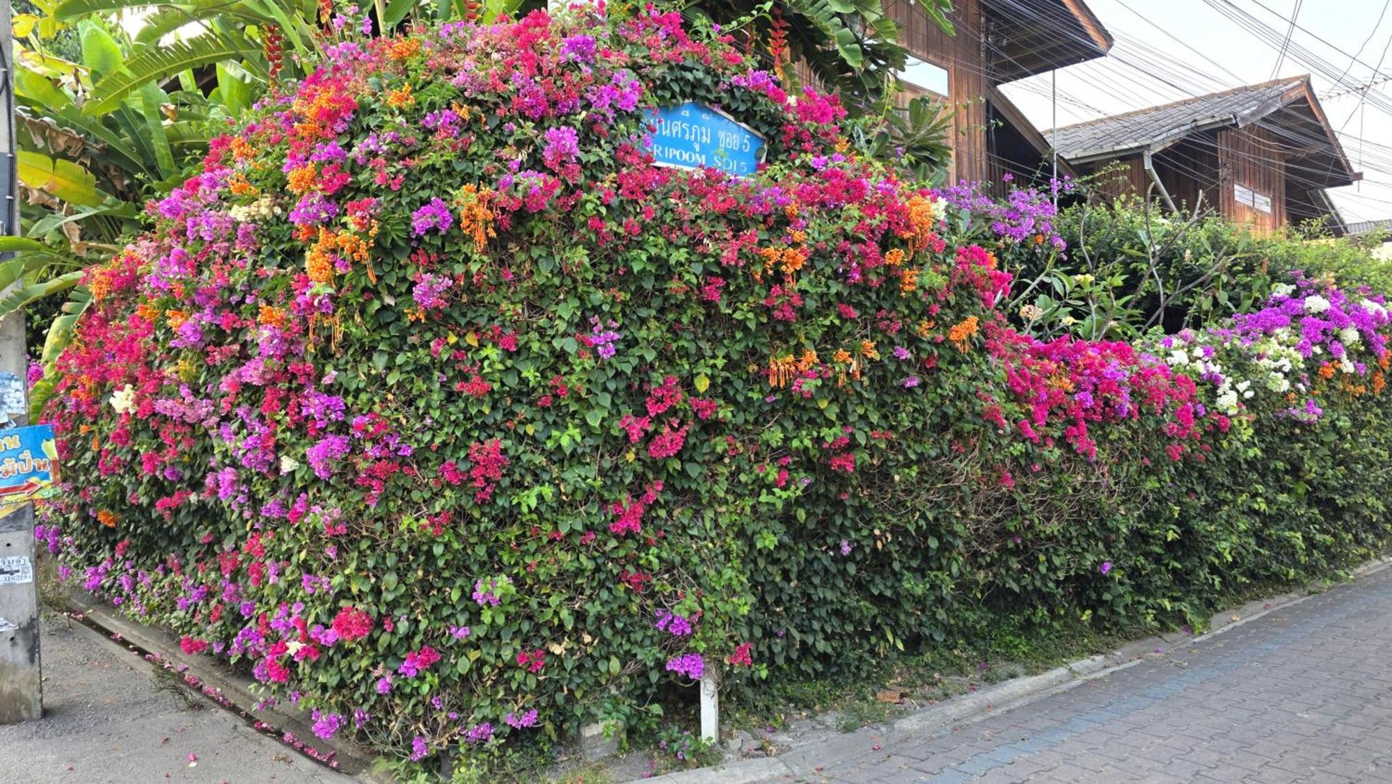 Siriwan Hostel Čiang Mai Exteriér fotografie