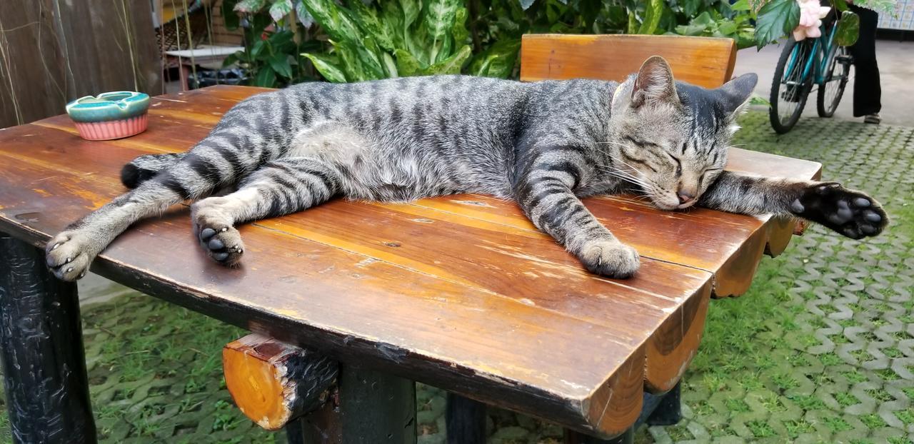 Siriwan Hostel Čiang Mai Exteriér fotografie